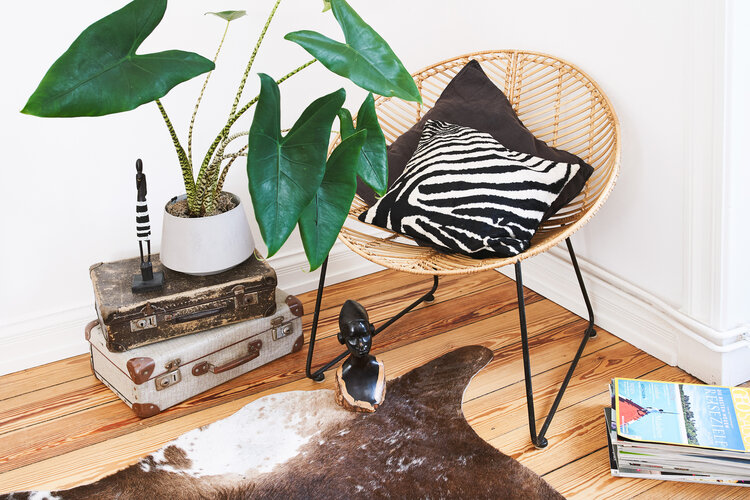 Ebay pinterest exotic