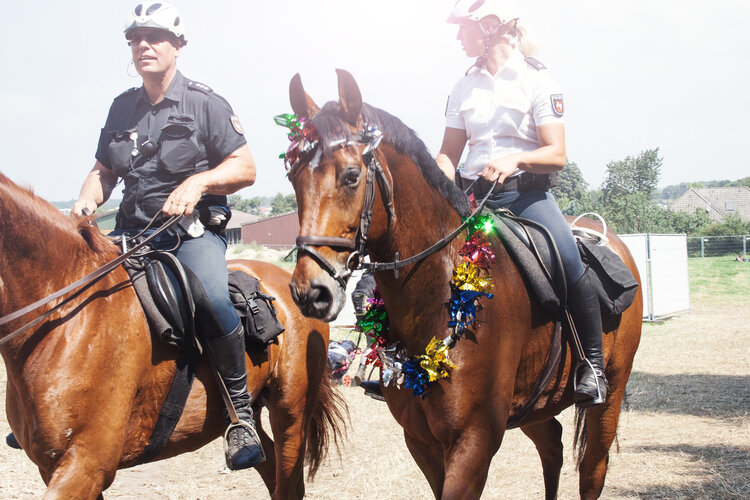 deichbrand festival 2016